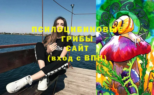 PSILOCYBIN Богородск