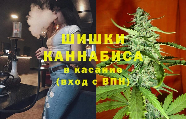 PSILOCYBIN Богородск