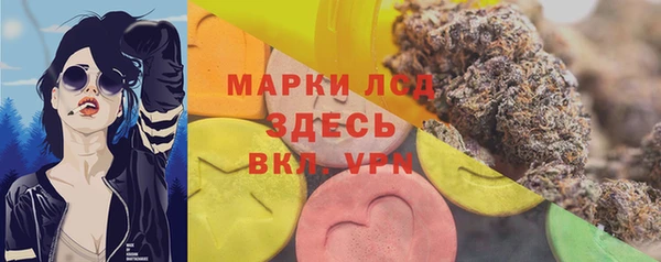 спайс Бородино